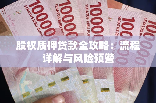 北京股权质押贷款全攻略：流程详解与风险预警