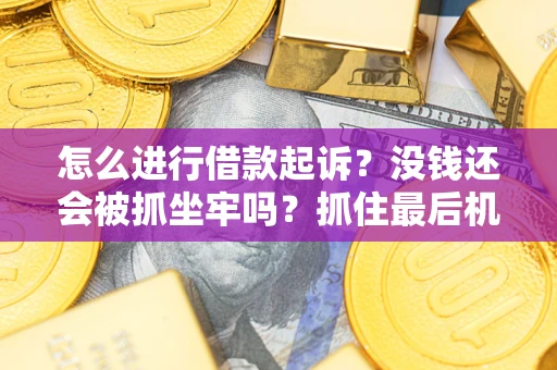 北京怎么进行借款起诉？没钱还会被抓坐牢吗？抓住最后机会！