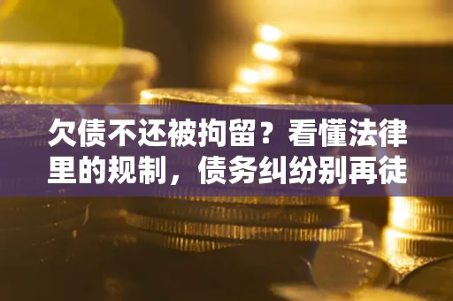 北京欠债不还被拘留？看懂法律里的规制，债务纠纷别再徒劳奔波
