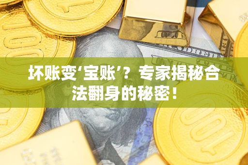 北京坏账变‘宝账’？专家揭秘合法翻身的秘密！