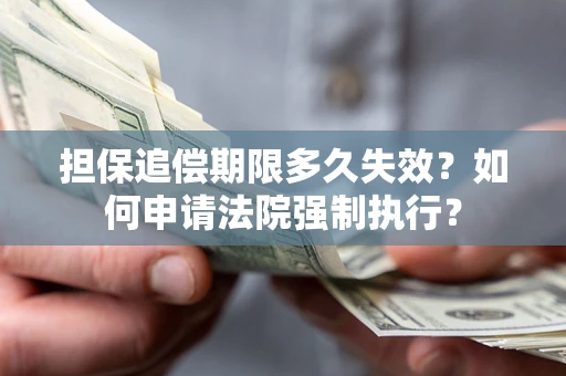 北京担保追偿期限多久失效？如何申请法院强制执行？