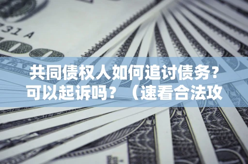 北京共同债权人如何追讨债务？可以起诉吗？（速看合法攻略）
